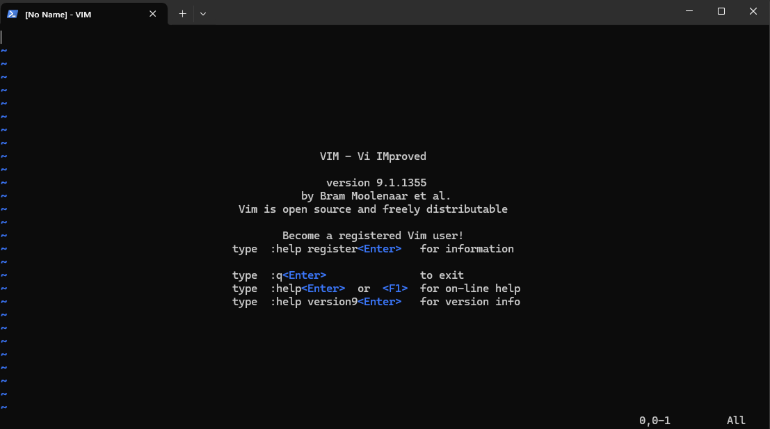 Vim editor showing alternate buffer interface with full screen takeover
